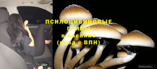 прущие крисы Армянск