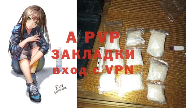 индика Балахна