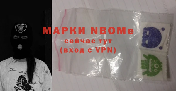индика Балахна