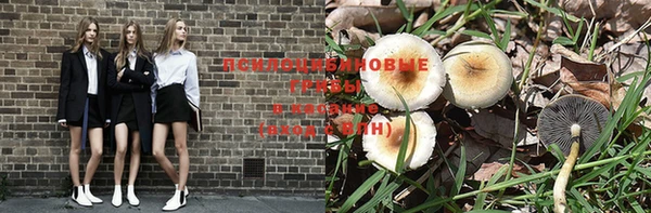 прущие крисы Армянск