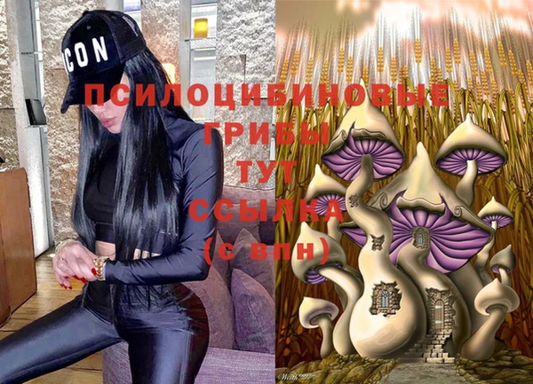 ешки Балабаново