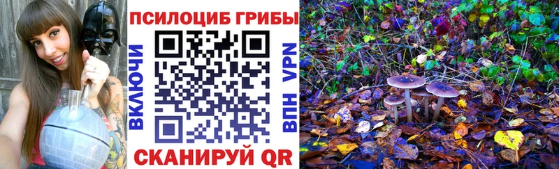 Галлюциногенные грибы прущие грибы  Пугачёв 